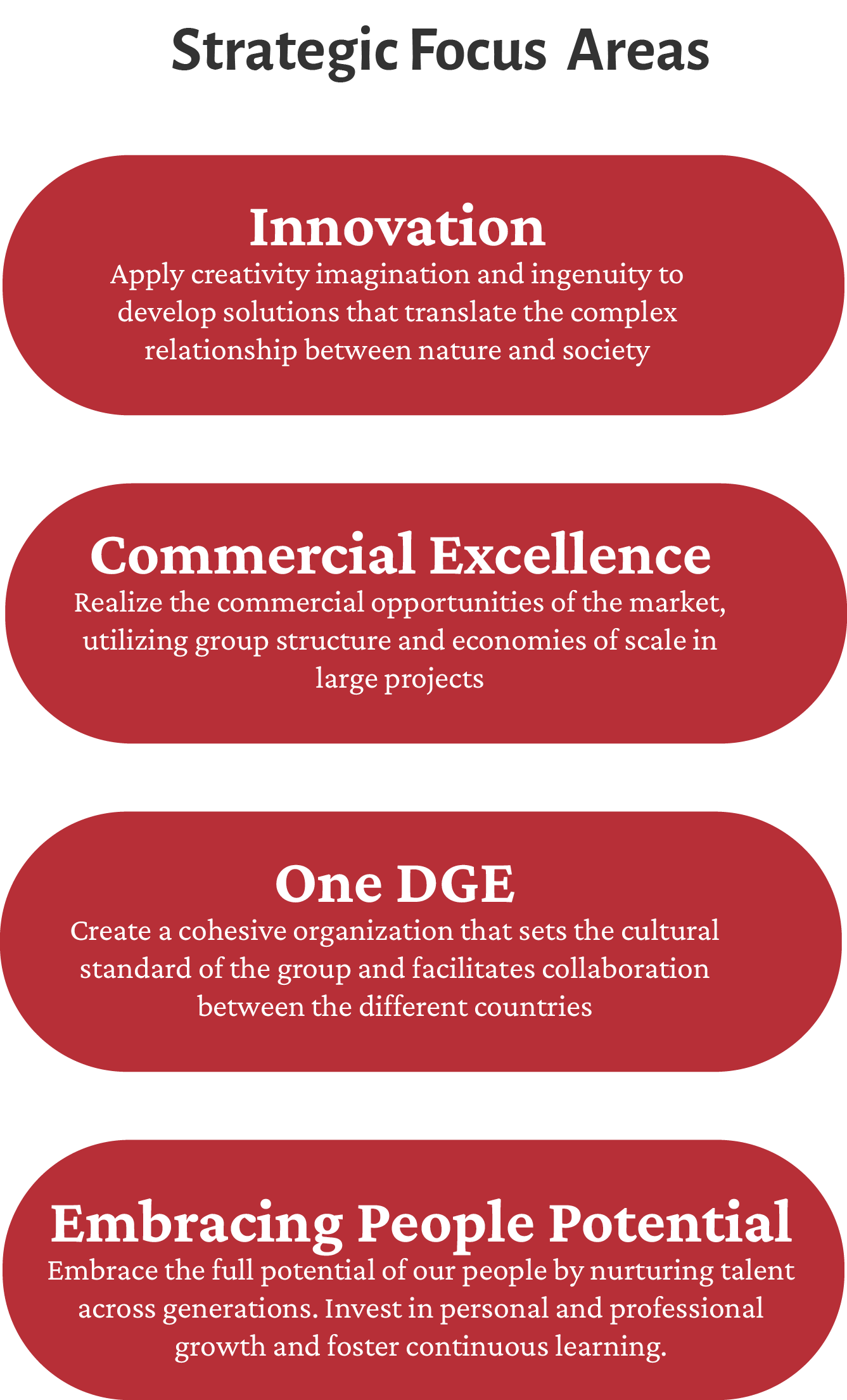 stratetig-focus-areas